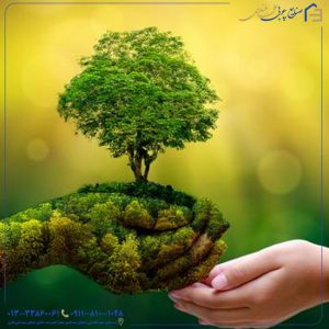 عناصر ضروری رشد درختان