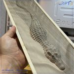 طرح برجسته با چوب نراد (کوروکودیل)